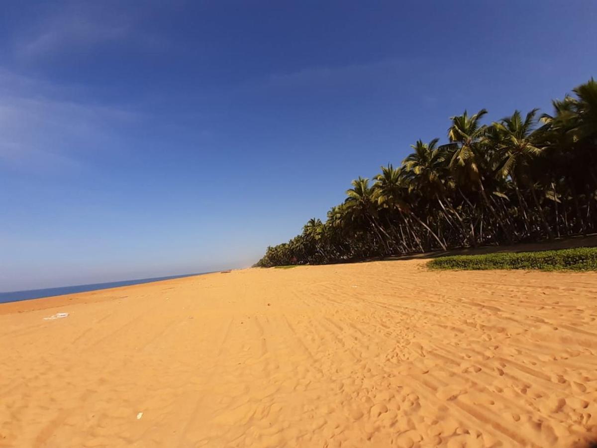 Wild Palms en Sea Hotel Kazhakuttam Exterior foto